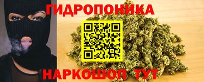 гидра Ливны