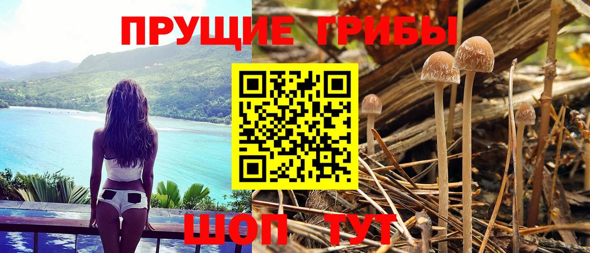 Галлюциногенные грибы ЛСД Каменск-Уральский