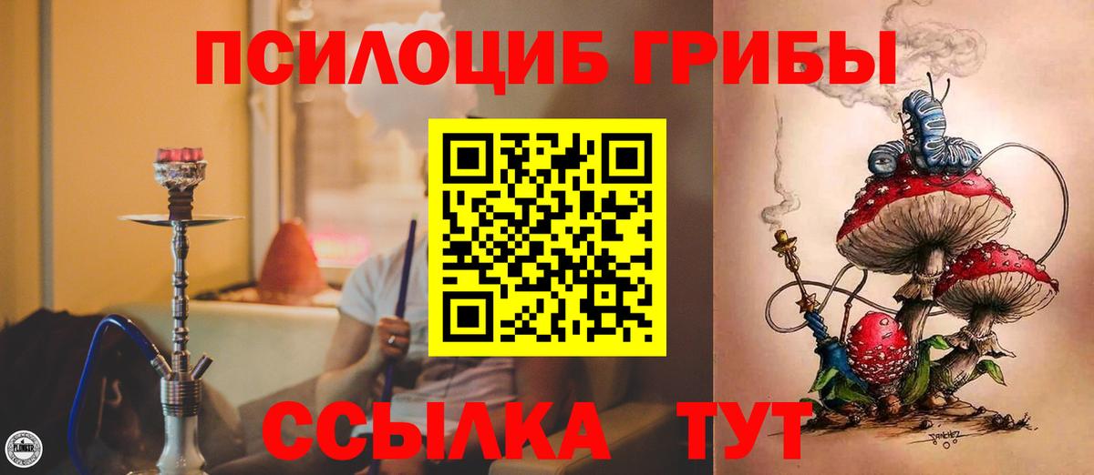 Каменск-Уральский  Псилоцибиновые грибы Psilocybe  Вход с VPN 